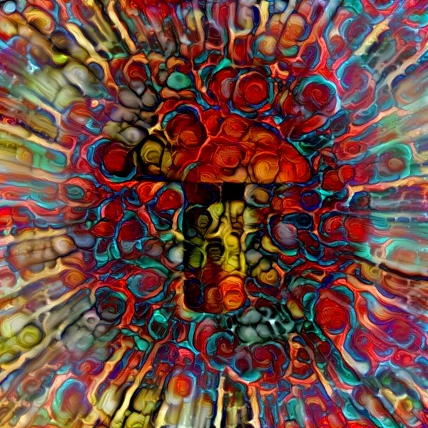 Colorful Mushroom by Bruce Rolff